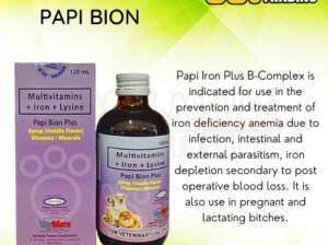 PAPI BION PLUS B COMPLEX 120ML / MULTIVITAMINS FOR DOGS & CATS