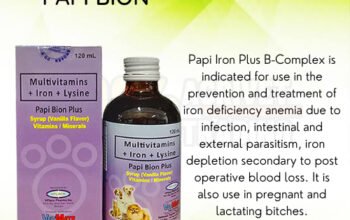 PAPI BION PLUS B COMPLEX 120ML / MULTIVITAMINS FOR DOGS & CATS